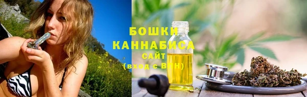 прущие грибы Абдулино