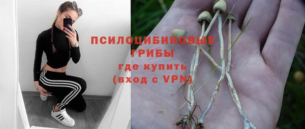 прущие грибы Абдулино