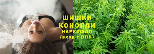 дживик Гусиноозёрск
