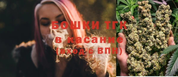 прущие грибы Абдулино
